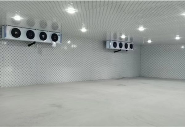 福建沙縣集團冷庫工程